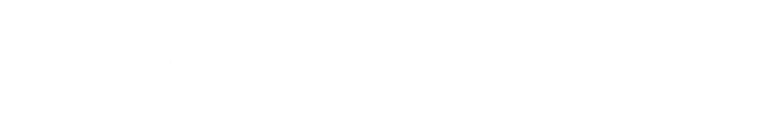NUEVA FASE AUTOMOTRIZ